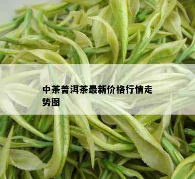 中茶普洱茶最新价格行情走势图