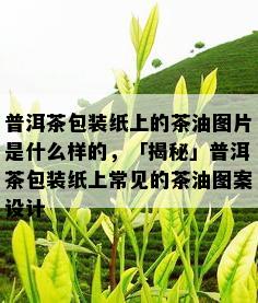 普洱茶包装纸上的茶油图片是什么样的，「揭秘」普洱茶包装纸上常见的茶油图案设计