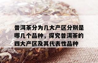 普洱茶分为几大产区分别是哪几个品种，探究普洱茶的四大产区及其代表性品种