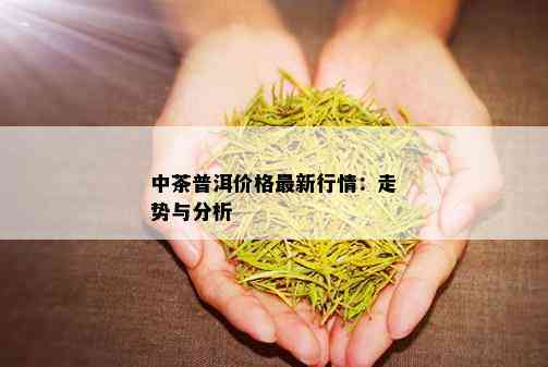 中茶普洱价格最新行情：走势与分析