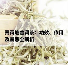 薄荷塘普洱茶：功效、作用及禁忌全解析