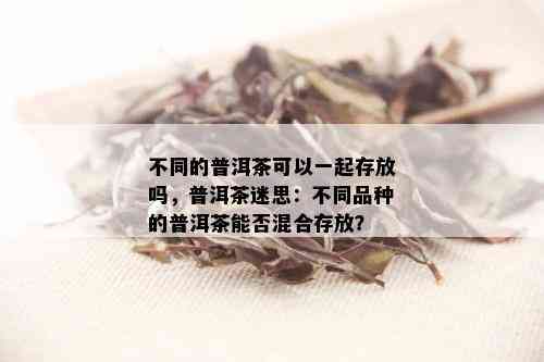 不同的普洱茶可以一起存放吗，普洱茶迷思：不同品种的普洱茶能否混合存放？