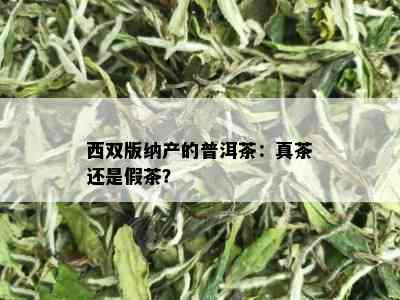 西双版纳产的普洱茶：真茶还是假茶？