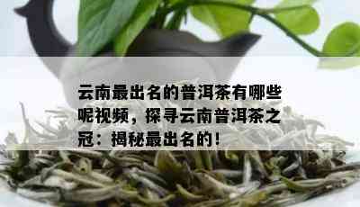 云南最出名的普洱茶有哪些呢视频，探寻云南普洱茶之冠：揭秘最出名的！