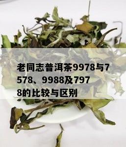 老同志普洱茶9978与7578、9988及7978的比较与区别