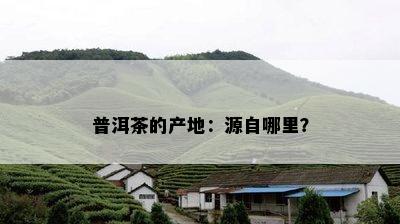 普洱茶的产地：源自哪里？