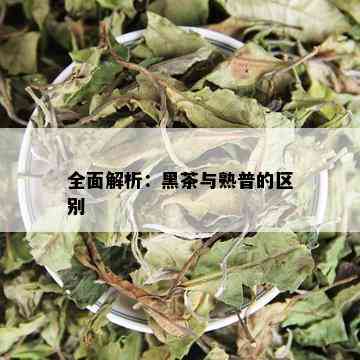 全面解析：黑茶与熟普的区别