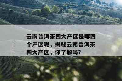 云南普洱茶四大产区是哪四个产区呢，揭秘云南普洱茶四大产区，你了解吗？