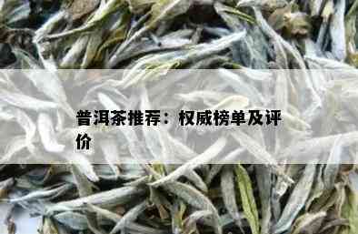 普洱茶推荐：权威榜单及评价