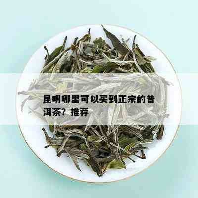 昆明哪里可以买到正宗的普洱茶？推荐