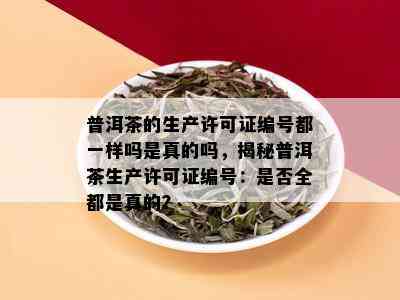 普洱茶的生产许可证编号都一样吗是真的吗，揭秘普洱茶生产许可证编号：是否全都是真的？