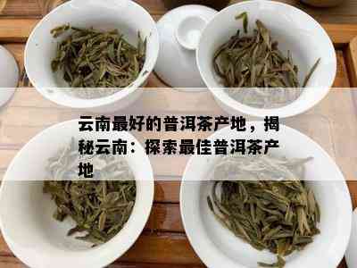 云南更好的普洱茶产地，揭秘云南：探索更佳普洱茶产地