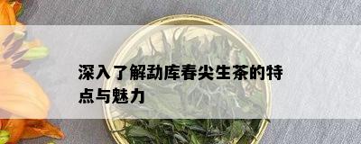 深入了解勐库春尖生茶的特点与魅力