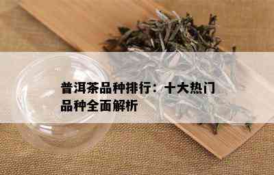 普洱茶品种排行：十大热门品种全面解析