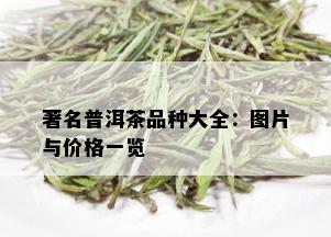 著名普洱茶品种大全：图片与价格一览