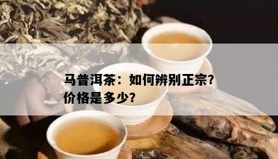 马普洱茶：如何辨别正宗？价格是多少？