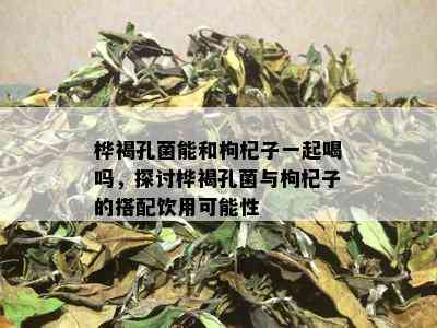 桦褐孔菌能和枸杞子一起喝吗，探讨桦褐孔菌与枸杞子的搭配饮用可能性