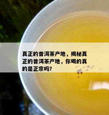 真正的普洱茶产地，揭秘真正的普洱茶产地，你喝的真的是正宗吗？