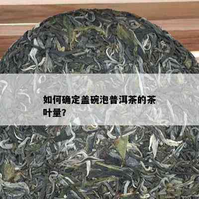 如何确定盖碗泡普洱茶的茶叶量？