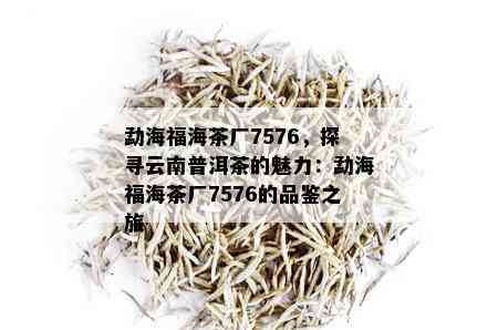 勐海福海茶厂7576，探寻云南普洱茶的魅力：勐海福海茶厂7576的品鉴之旅