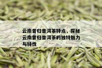 云南昔归普洱茶特点，探秘云南昔归普洱茶的独特魅力与特性