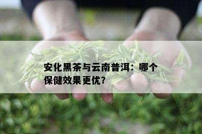 安化黑茶与云南普洱：哪个保健效果更优？