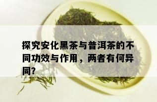 探究安化黑茶与普洱茶的不同功效与作用，两者有何异同？