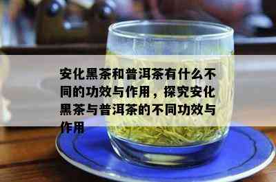 安化黑茶和普洱茶有什么不同的功效与作用，探究安化黑茶与普洱茶的不同功效与作用