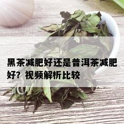 黑茶减肥好还是普洱茶减肥好？视频解析比较