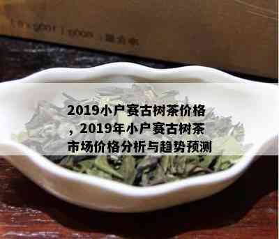 2019小户赛古树茶价格，2019年小户赛古树茶市场价格分析与趋势预测