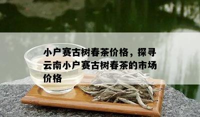 小户赛古树春茶价格，探寻云南小户赛古树春茶的市场价格