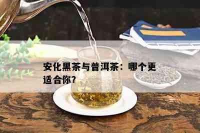 安化黑茶与普洱茶：哪个更适合你？