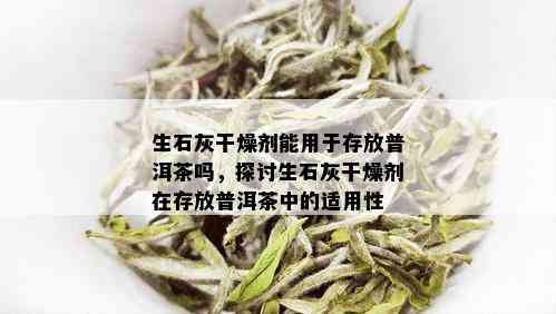 生石灰干燥剂能用于存放普洱茶吗，探讨生石灰干燥剂在存放普洱茶中的适用性