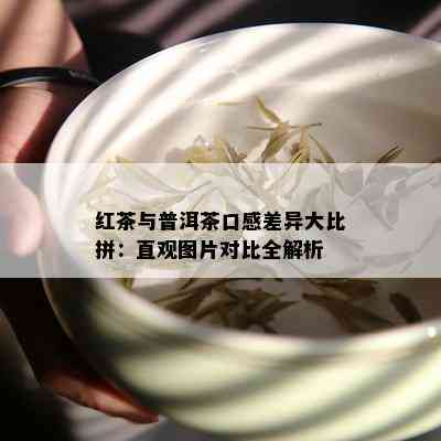 红茶与普洱茶口感差异大比拼：直观图片对比全解析