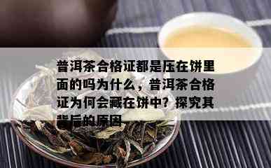 普洱茶合格证都是压在饼里面的吗为什么，普洱茶合格证为何会藏在饼中？探究其背后的原因