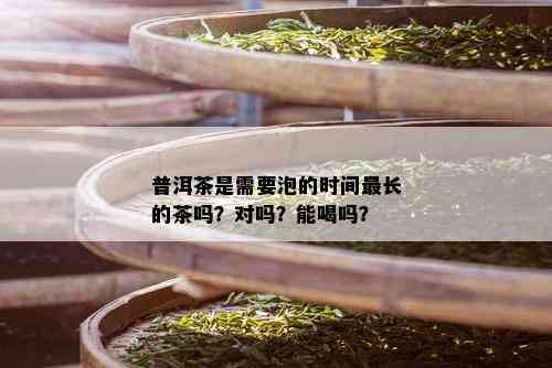 普洱茶是需要泡的时间最长的茶吗？对吗？能喝吗？