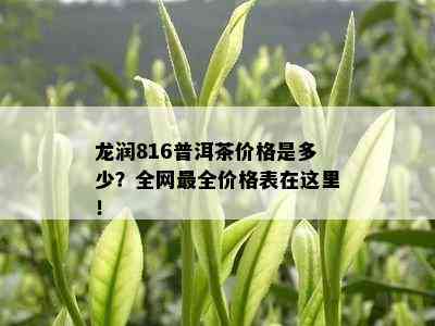 龙润816普洱茶价格是多少？全网最全价格表在这里！