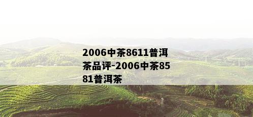 2006中茶8611普洱茶品评-2006中茶8581普洱茶