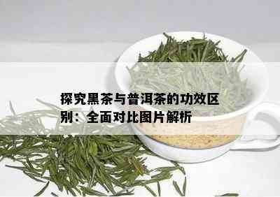 探究黑茶与普洱茶的功效区别：全面对比图片解析