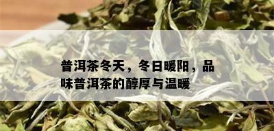 普洱茶冬天，冬日暖阳，品味普洱茶的醇厚与温暖