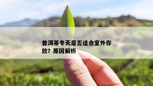 普洱茶冬天是否适合室外存放？原因解析