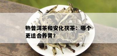 熟普洱茶和安化茯茶：哪个更适合养胃？