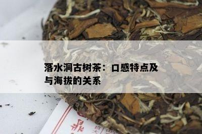 落水洞古树茶：口感特点及与海拔的关系