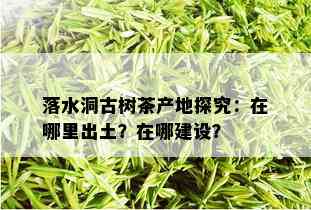 落水洞古树茶产地探究：在哪里出土？在哪建设？