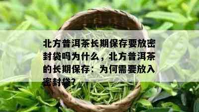 北方普洱茶长期保存要放密封袋吗为什么，北方普洱茶的长期保存：为何需要放入密封袋？