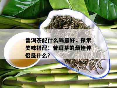 普洱茶配什么喝更好，探索美味搭配：普洱茶的更佳伴侣是什么？