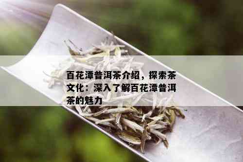 百花潭普洱茶介绍，探索茶文化：深入了解百花潭普洱茶的魅力