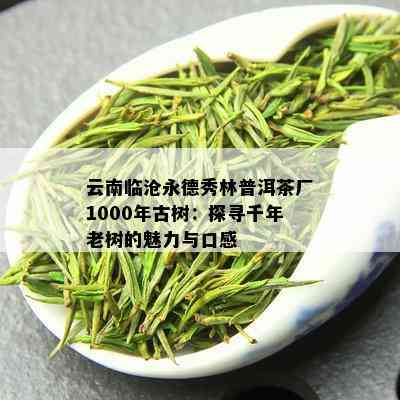 云南临沧永德秀林普洱茶厂1000年古树：探寻千年老树的魅力与口感