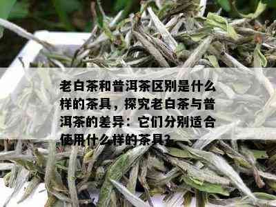 老白茶和普洱茶区别是什么样的茶具，探究老白茶与普洱茶的差异：它们分别适合使用什么样的茶具？