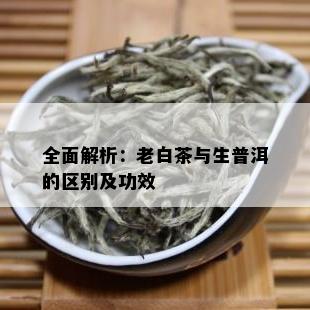 全面解析：老白茶与生普洱的区别及功效